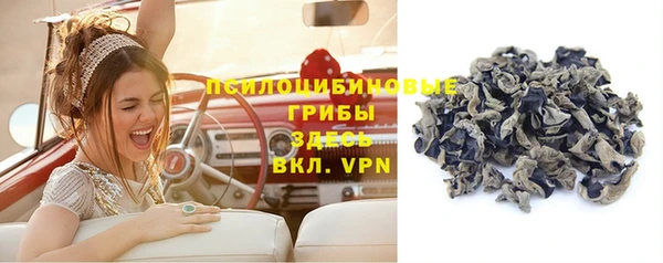 МДМА Белокуриха