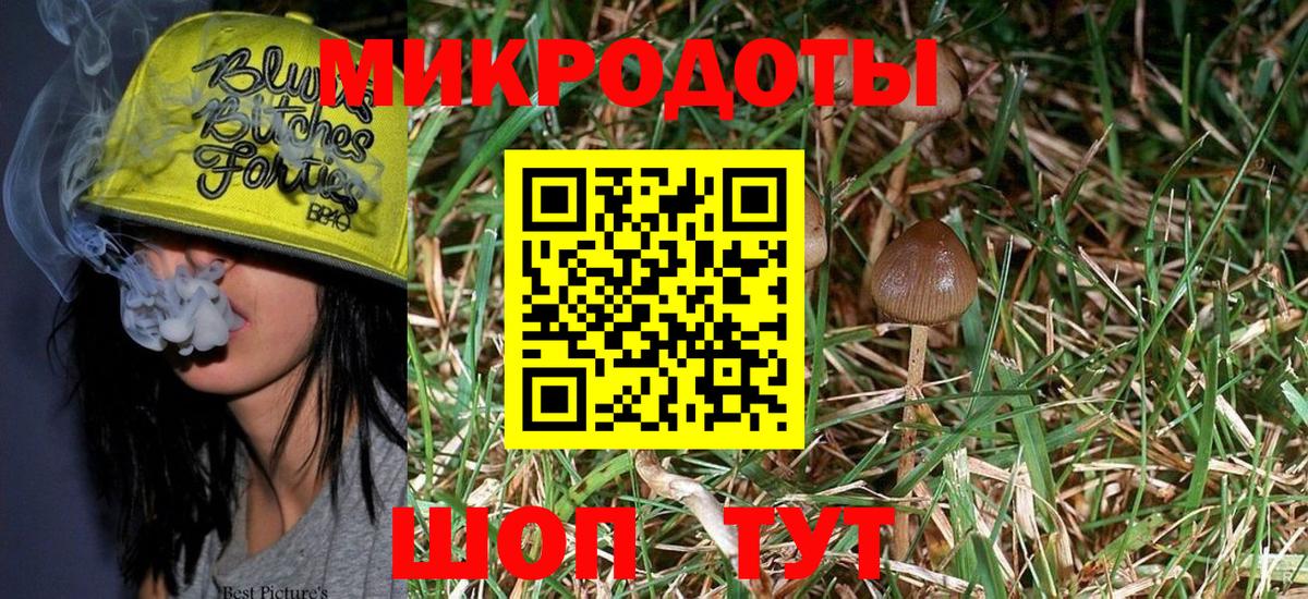 Псилоцибиновые грибы GOLDEN TEACHER  Галлюциногенные грибы прущие грибы  Верхний Уфалей 
