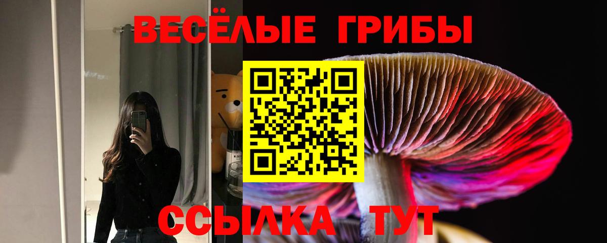 Галлюциногенные грибы мухоморы Верхний Уфалей