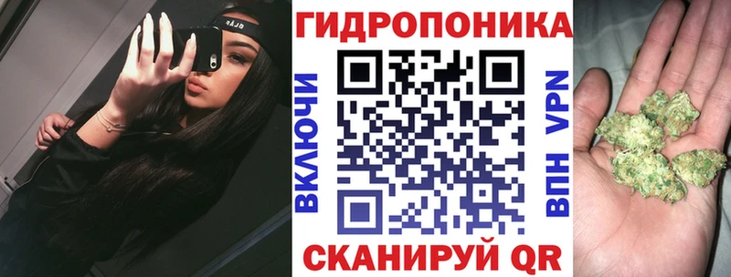 купить наркотики цена  Верхний Уфалей  MEGA зеркало  Шишки марихуана семена 